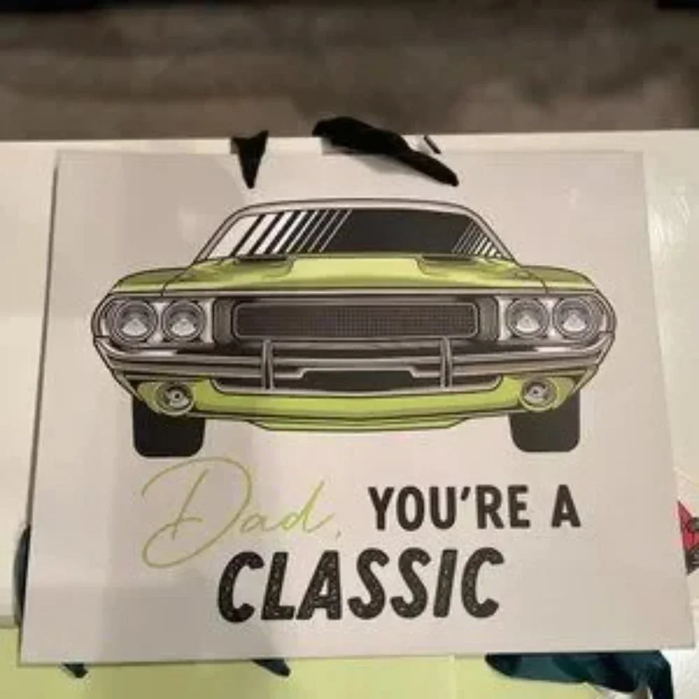 Gifts Bags for‎ Dad (NEW) (Set of THREE)